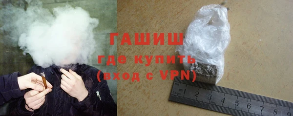 дживик Няндома