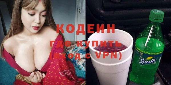 дживик Няндома