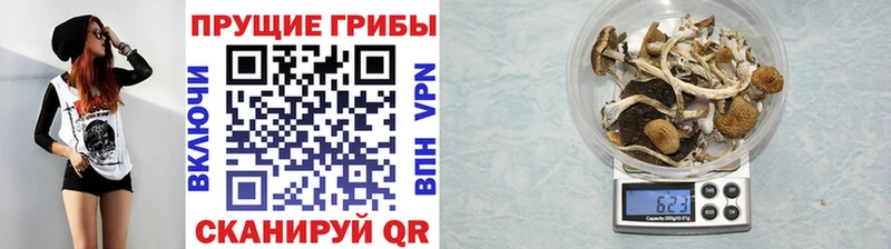Псилоцибиновые грибы ЛСД  купить   Константиновск 